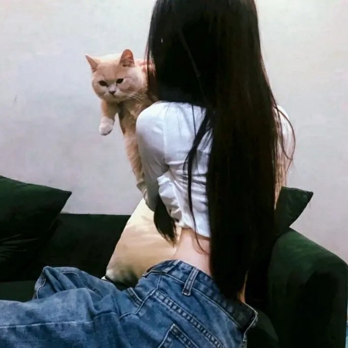 突如其蓝